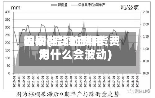 棕榈期货的费用
因素(棕榈油期货费用
为什么会波动)-第2张图片