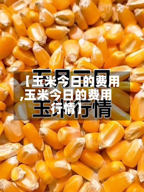 【玉米今日的费用
,玉米今日的费用
行情】-第2张图片
