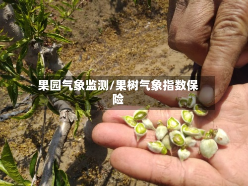果园气象监测/果树气象指数保险-第2张图片
