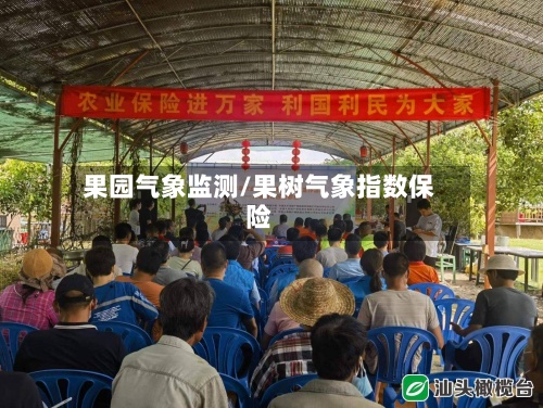 果园气象监测/果树气象指数保险