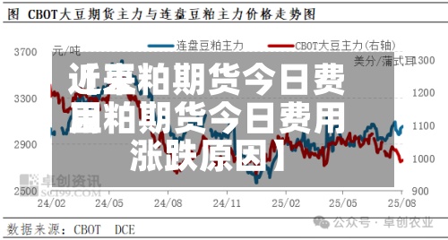 近来
【豆粕期货今日费用
豆粕期货今日费用
涨跌原因】-第3张图片