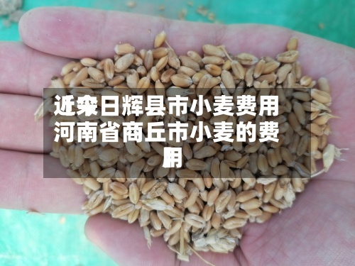 近来【今日辉县市小麦费用河南省商丘市小麦的费用】