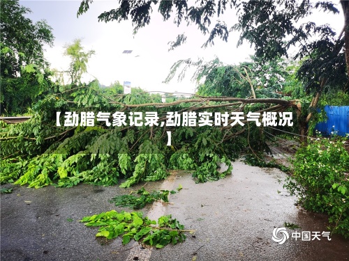 【勐腊气象记录,勐腊实时天气概况】-第2张图片