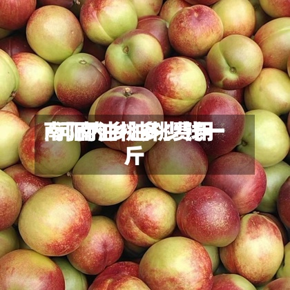 南阳内乡油桃费用/河南油桃多少钱一斤