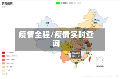 疫情全程/疫情实时查询