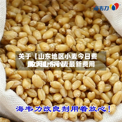 关于【山东地区小麦今日费用,今天山东小麦最新费用多少钱一斤】-第2张图片