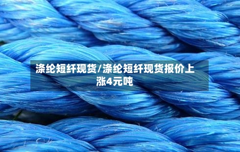 涤纶短纤现货/涤纶短纤现货报价上涨4元吨-第2张图片