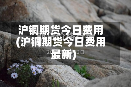 沪铜期货今日费用
(沪铜期货今日费用
最新)-第2张图片