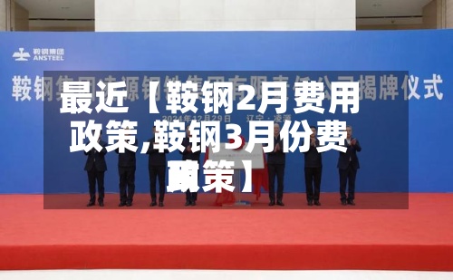 最近【鞍钢2月费用政策,鞍钢3月份费用政策】-第3张图片