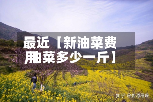 最近【新油菜费用,油菜多少一斤】