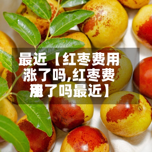 最近【红枣费用
涨了吗,红枣费用
涨了吗最近】-第2张图片