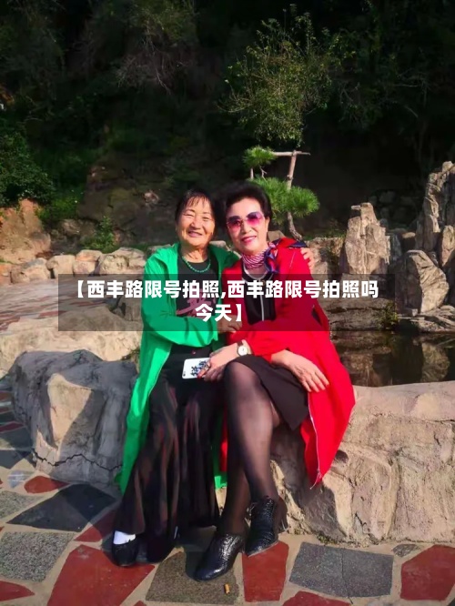 【西丰路限号拍照,西丰路限号拍照吗今天】