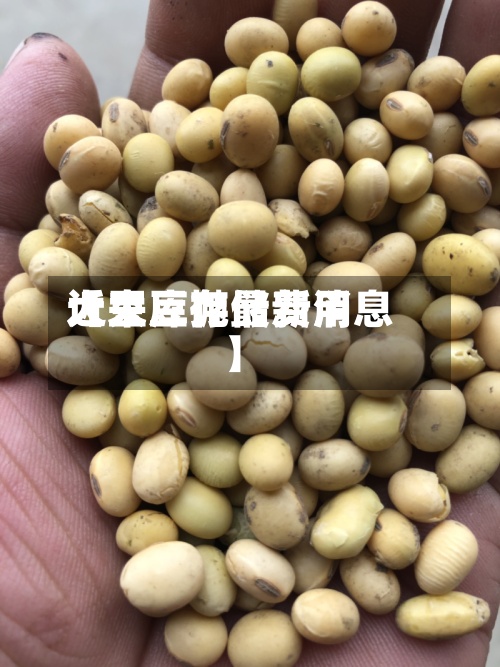 近来【大豆抛储费用大豆库存最新消息】