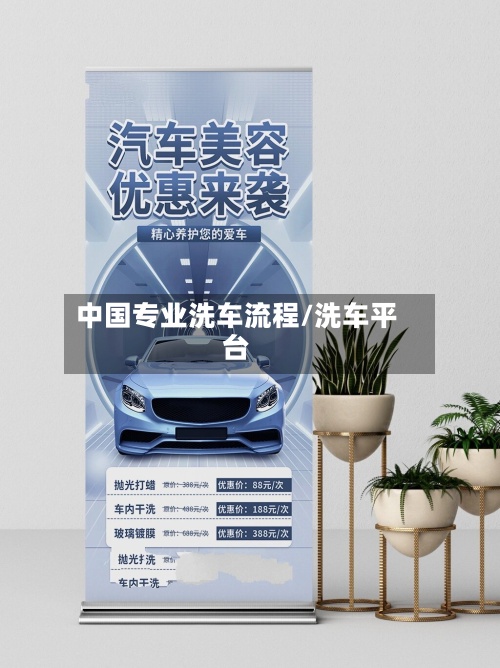 中国专业洗车流程/洗车平台-第2张图片