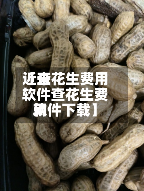 近来【查花生费用软件查花生费用软件下载】
