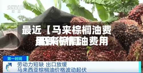 最近【马来棕榈油费用,马来棕榈油费用最新行情】-第2张图片