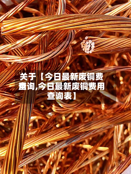 关于【今日最新废铜费用查询,今日最新废铜费用查询表】-第2张图片