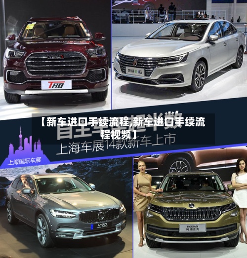 【新车进口手续流程,新车进口手续流程视频】-第2张图片