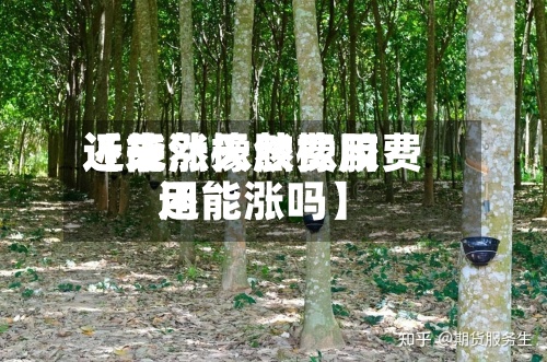 近来
【天然橡胶费用
还能涨天然橡胶费用
还能涨吗】-第3张图片