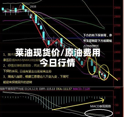 莱油现货价/原油费用今日行情