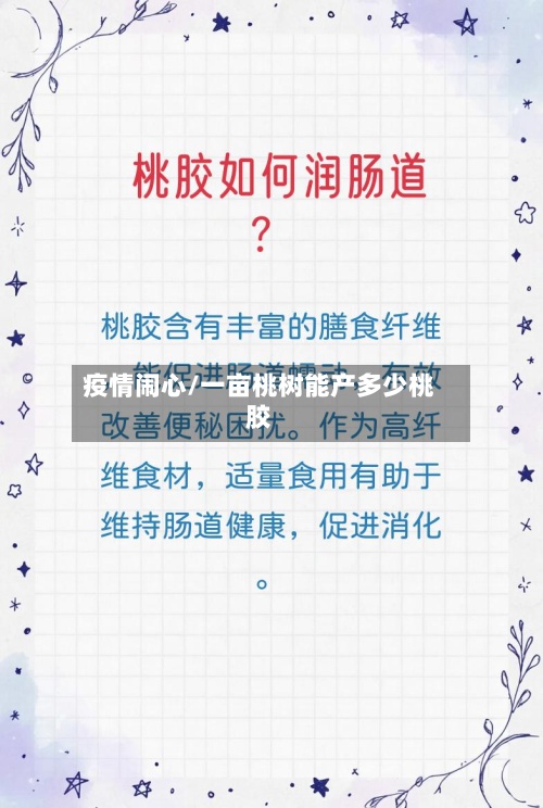 疫情闹心/一亩桃树能产多少桃胶-第2张图片