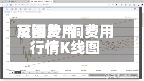 可铜费用
及图片/铜费用
行情K线图-第2张图片