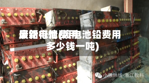 废铅电池费用最新行情(废电池铅费用多少钱一吨)