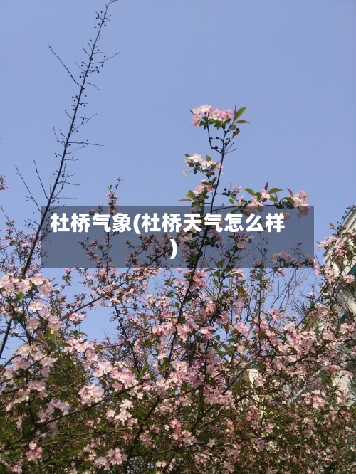 杜桥气象(杜桥天气怎么样)-第3张图片
