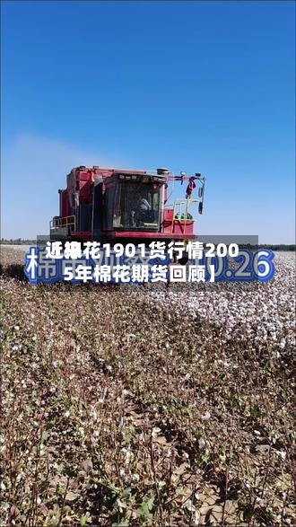近来
【棉花1901货行情2005年棉花期货回顾】-第2张图片
