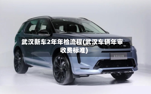 武汉新车2年年检流程(武汉车辆年审收费标准)-第3张图片