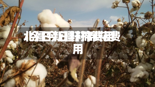 北疆今日籽棉费用
/今日新疆籽棉花费用
-第2张图片