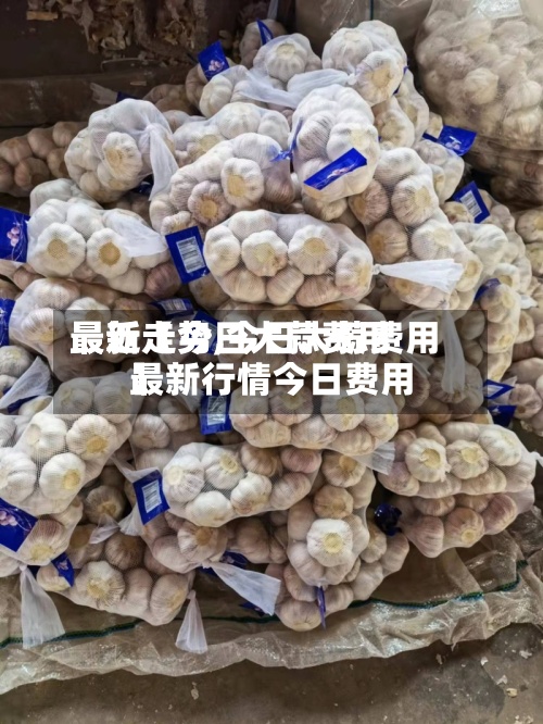 最近【今日大蒜费用最新走势,今日大蒜费用最新行情今日费用】