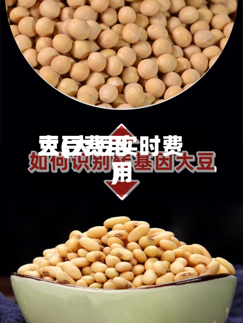 大豆费用
豆(大豆实时费用
)-第2张图片