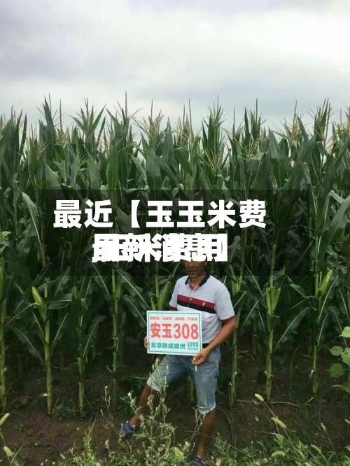 最近【玉玉米费用
,玉米费用
最新消息】-第2张图片
