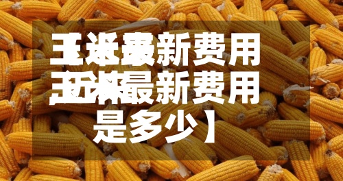 【近来
玉米最新费用
,近来
玉米最新费用
是多少】-第3张图片