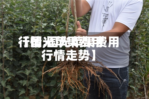 【国光苹果费用
行情,国光苹果费用
行情走势】-第2张图片