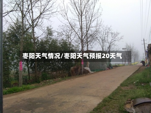 枣阳天气情况/枣阳天气预报20天气