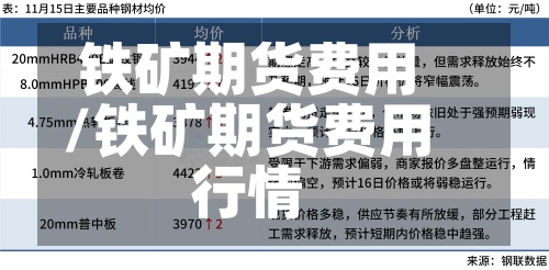 铁矿期货费用/铁矿期货费用行情