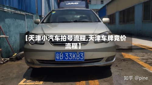 【天津小汽车拍号流程,天津车牌竞价流程】