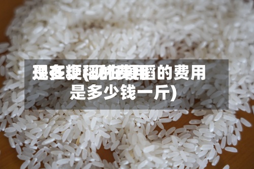 现在粳稻的费用
是多少(现在粳稻的费用
是多少钱一斤)-第2张图片