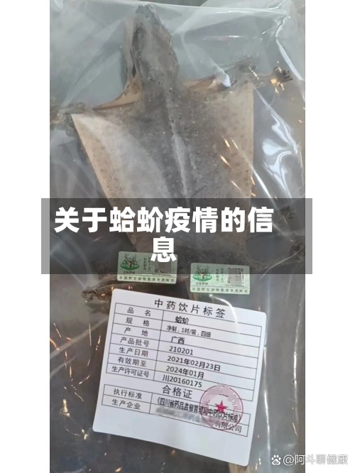 关于蛤蚧疫情的信息-第2张图片