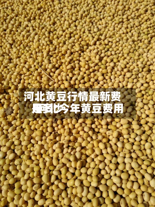 河北黄豆行情最新费用
/河北今年黄豆费用
是多少-第3张图片