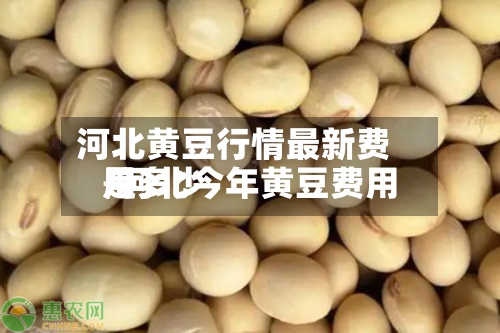 河北黄豆行情最新费用
/河北今年黄豆费用
是多少-第2张图片