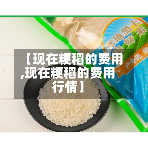【现在粳稻的费用,现在粳稻的费用行情】