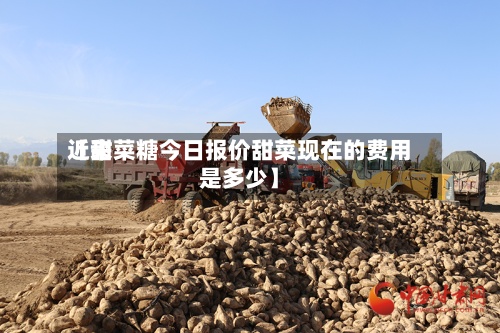 近来
【甜菜糖今日报价甜菜现在的费用
是多少】-第2张图片