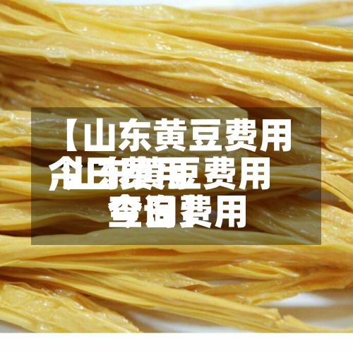 【山东黄豆费用今日费用,山东黄豆费用今日费用查询】