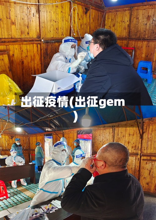 出征疫情(出征gem)-第2张图片
