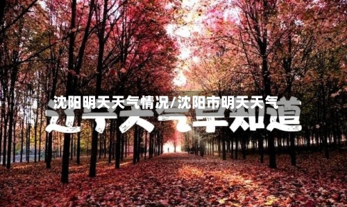 沈阳明天天气情况/沈阳市明天天气-第2张图片