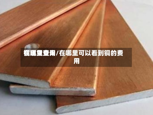 铜现货费用在哪里查询/在哪里可以看到铜的费用