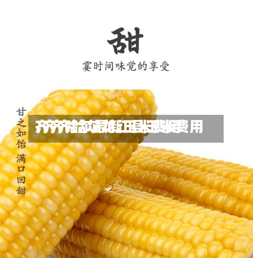 齐齐哈尔最新玉米费用/齐齐哈尔龙江县玉米费用